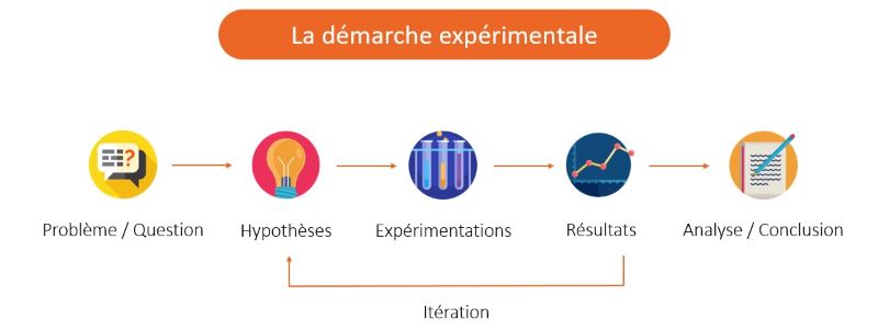 La démarche expérimentale